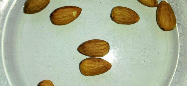 Go nuts about your health